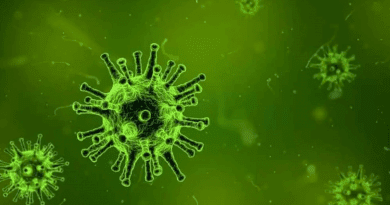 اكتشاف متحورة جديدة من فيروس كورونا في جنوب أفريقيا