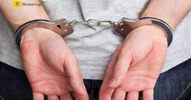 تفكيك عصابة أصدرت رخص قيادة يونانية بالرشوة - اعتقال 13