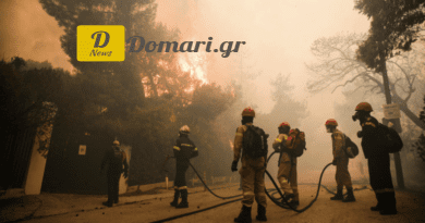 اليونان لوائح جديدة للحماية من الحرائق تثقل كاهل أصحاب الأراضي والعقارات