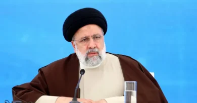 الحكومة الإيرانية تؤكد استمرار العمل بكفاءة بعد وفاة الرئيس رئيسي