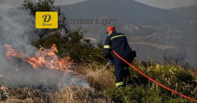 اليونان اندلاع 37 حريقا زراعيا في البلاد خلال 24 ساعة