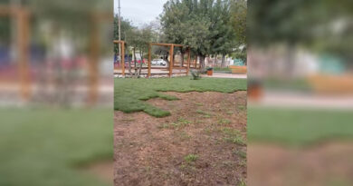 سرقة العشب من بلدية إلينيكون حادثة غريبة تثير الجدل