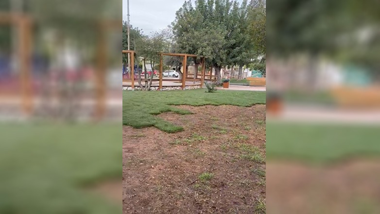 سرقة العشب من بلدية إلينيكون حادثة غريبة تثير الجدل