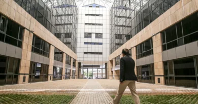 Greek Ministry of Migration Denies Suspension of Asylum Rejection Decisions and Explains Temporary Halt