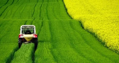 Seasonal work visas in Germany