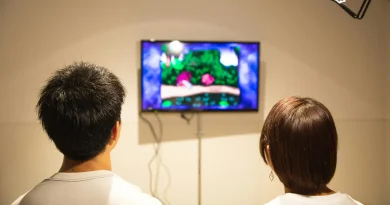 Japanese channels